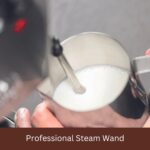 Gaggia Classic Evo Pro Orange RI9481/19 - immagine 5